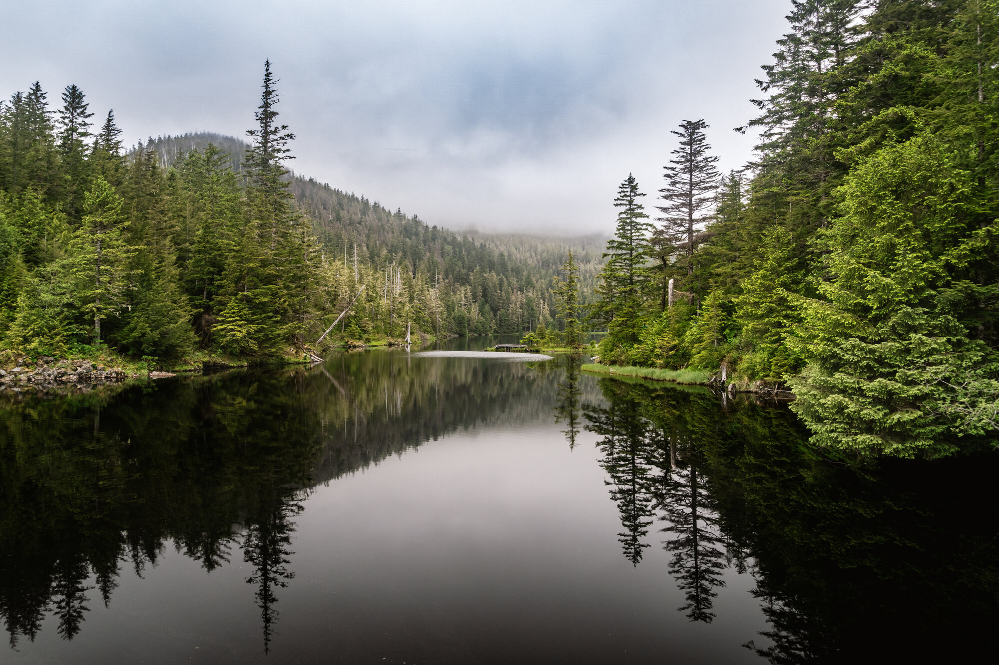 Quiet forest lake reflecting evergreens and a pale overcast sky in Southeast Alaska
