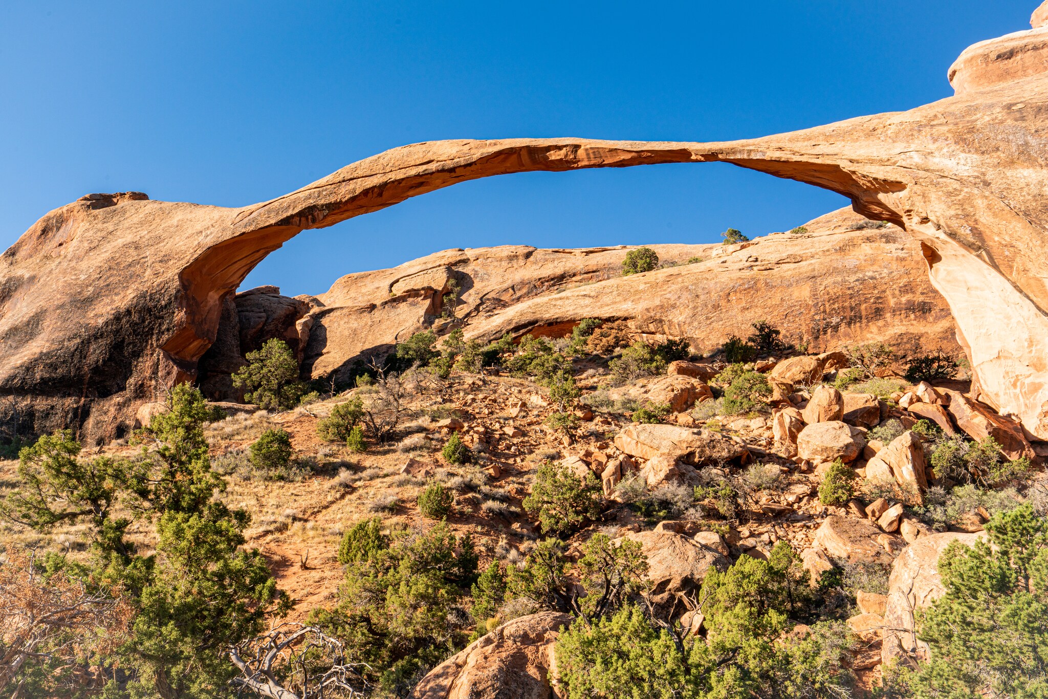 Long slender Landscape Arch spanning blue sky above juniper and pale sandstone rubble